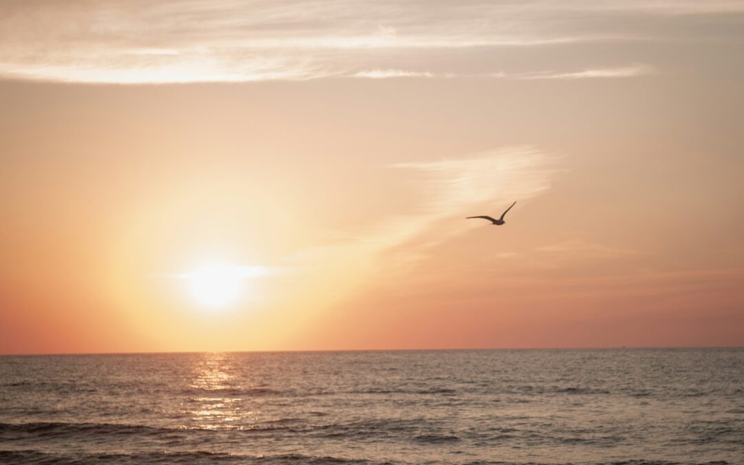 🌅 Your Summer Memories – in English